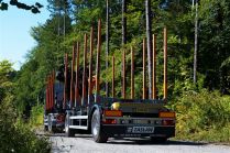 Scania - timber upperstructure1p