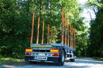 Scania - timber upperstructure2d